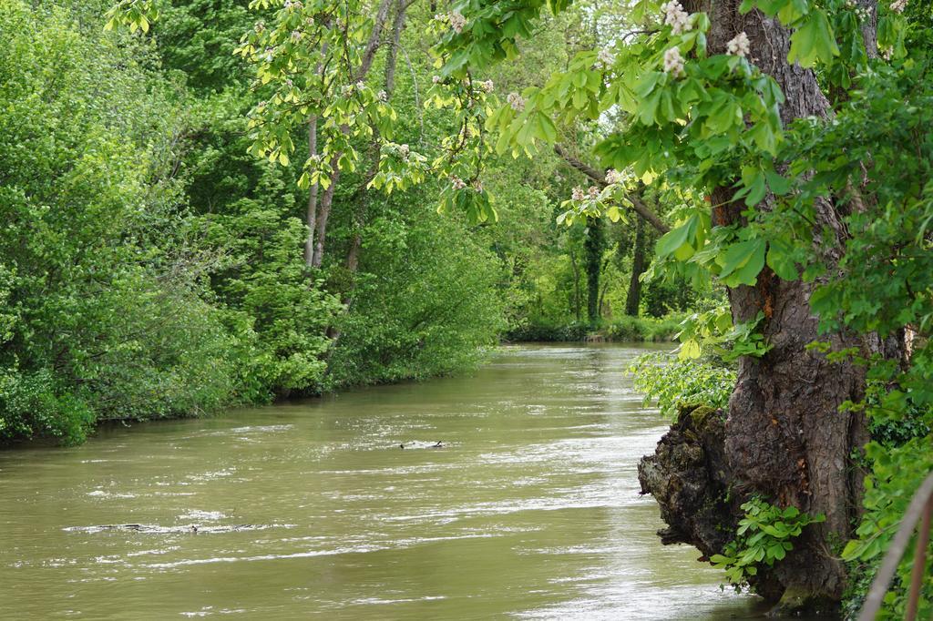 Le Moulin D'Eclaron Bed & Breakfast Cameră foto